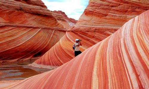 Zdjecie USA / Arizona / Vermilion Cliff / The Wave