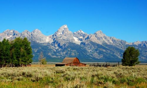 Zdjcie USA / Wyoming / Grand Teton / Teton NP