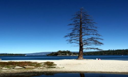 Zdjecie USA / california / lake tahoe, emerald bay / kind of blue