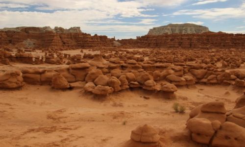 Zdjecie USA / - / Utah / Goblin Valley / Wioska Smerfow :)