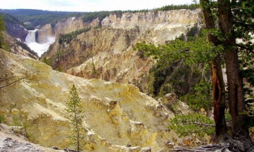 Zdjecie USA / Wyoming / Yelowstone Nat.Park / kanion  Yelowstone River