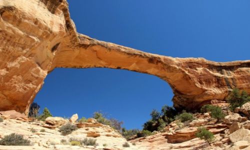Zdjecie USA / - / Utah / Natural Bridges NM / Owachomo Bridge