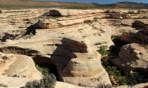 Zdjecie USA / - / Utah / Natural Bridges NM / na zakrecie