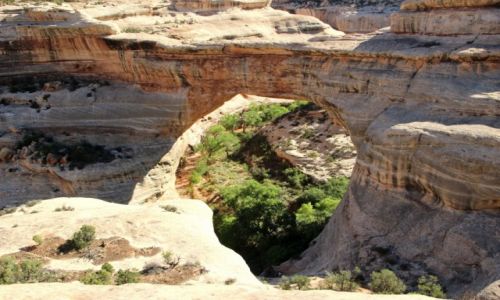 Zdjecie USA / - / Utah / Natural Bridges NM / Kachina Bridge