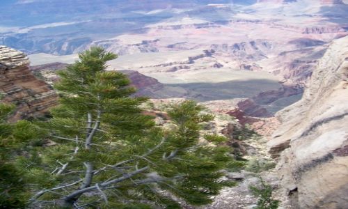 Zdjecie USA / Arizona / Grand Canyon / Grand Canyon moimi oczami