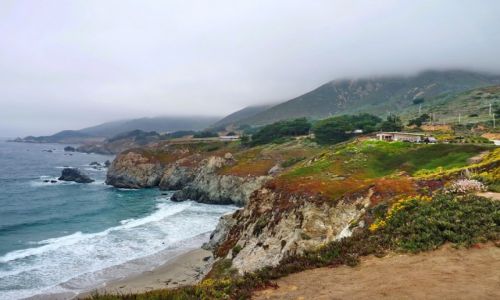 Zdjecie USA / California / Monterey / Brzeg oceanu nieopodal Monterey