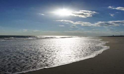Zdjecie USA / Fire Island / Robert Moses State Park / Na play