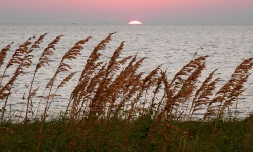 Zdjecie USA / Outer Banks NC / Avon Pamlico Sound / sunset