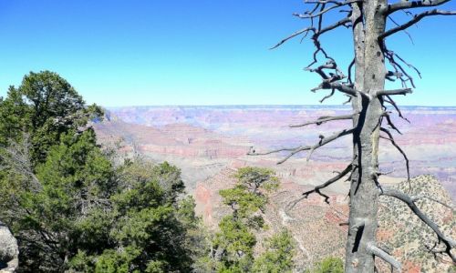 Zdjęcie USA / Arizona / GCC / Grand Canion Colorado