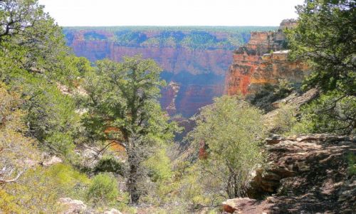 Zdjęcie USA / Arizona / GCC / Wielki Kanion Kolorado