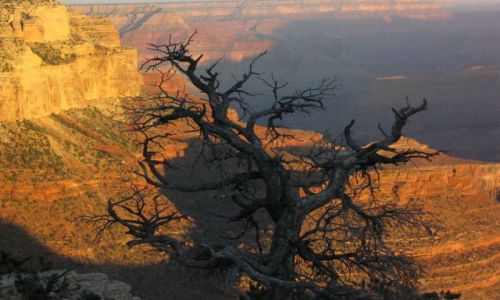 Zdjecie USA / brak / Arizona / Wielki Kanion
