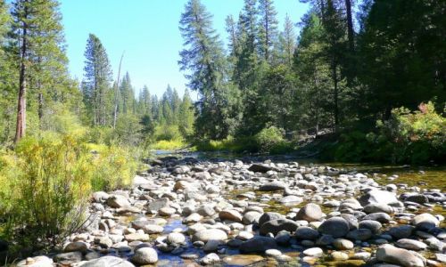 Zdjęcie USA / California / NP Yosemite / Yosemite - w parku