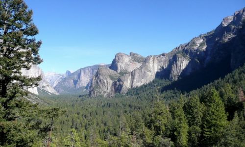 Zdjcie USA / California / Yosemite / Yosemite - w parku