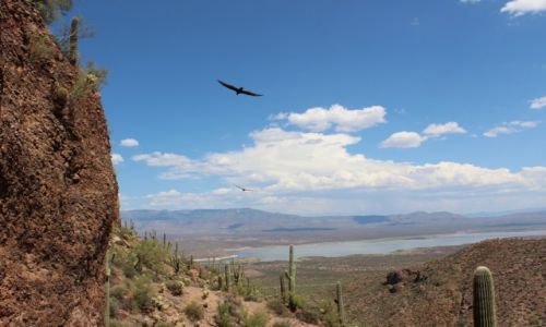Zdjecie USA / Nowy Meksyk / Gila National Monument / KONKURS Ora cie