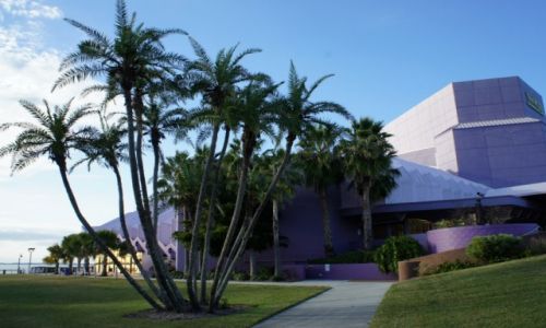 Zdjęcie USA / Floryda / Sarasota / Palmy i filharmonia