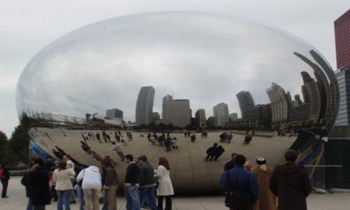 Zdjecie USA / ILLINOIS / CHICAGO / FASOLA