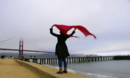 Zdjecie USA / Kalifornia / San Francisco / Ukryty za mg