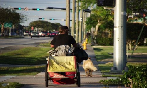 Zdjecie USA / Floryda / Okolice Miami / Trudy �ycia w dobrobycie