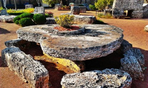 Zdjecie USA / Floryda / Homestead / Z miłości