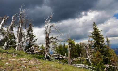 Zdjecie USA / Wyoming / Yellowstone National Park / Dwa swiaty