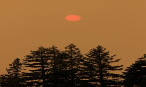 Zdjęcie USA / California / Tahoe / Ogień