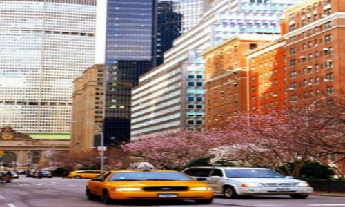 Zdjecie USA / NY / NY / NY