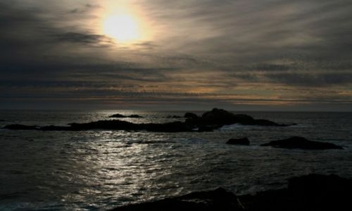 Zdjęcie USA / California / Rezerwat Point Lobos / Zachód słońca nad Ptasią Wyspą