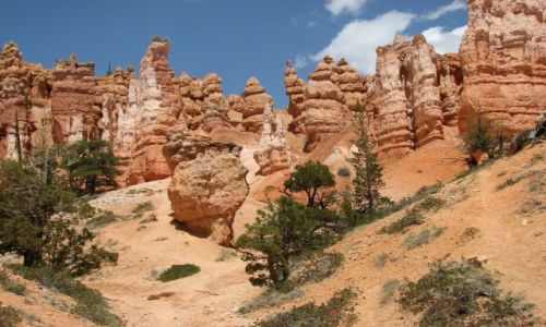 Zdjecie USA / Utah / Park Narodowy Bryce Canyon / Na szlaku