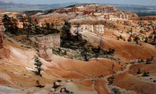 Zdjecie USA / Utah / Bryce Canyon National Park / Bryce Canyon
