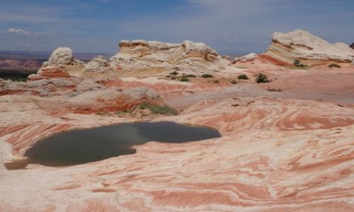 USA / Arizona / White Pocket, Wermilion Cliffs / Na innej planecie - WHITE POCKET