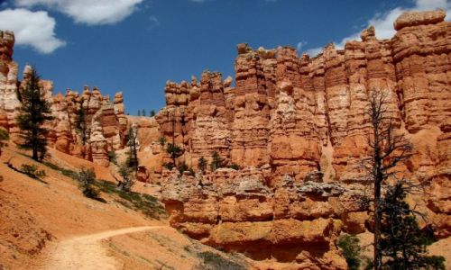 Zdjcie USA / Utah / Park Narodowy Bryce Canyon / Na szlaku