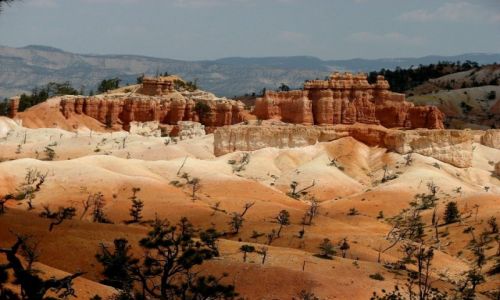 Zdjcie USA / Utah / Park Narodowy Bryce Canyon / Na szlaku2