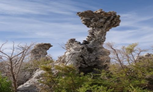 Zdjecie USA / Kalifornia / Jezioro Mono Lake / Formacje tufowe na MONO Lake
