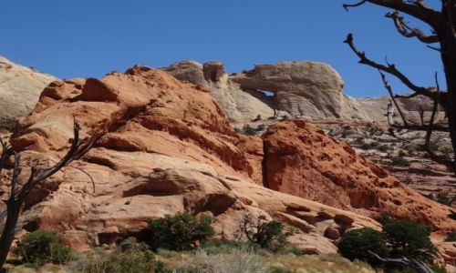 Zdjecie USA / Utah / Escalante -PEEK-A-BOO ARCH / Zapraszam na BURR TRAIL ROAD