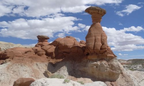 Zdjecie USA / Utah / Paria Rimrocks Toadstool Trail / Hoodoos