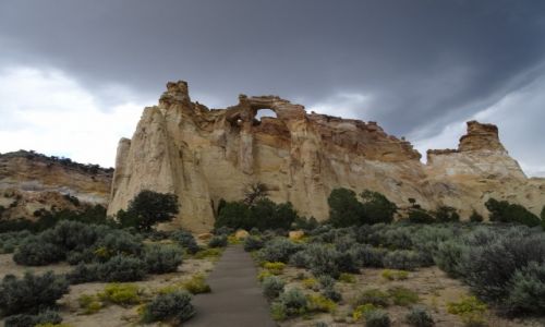 USA / - / UTAH / Cottonwood Canyon Road - Grosvenor Arch
