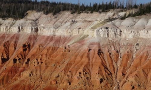 Zdjęcie USA / Utah / Cedar Breaks NP / Kocham czerwone skały: CEDAR BREAKS