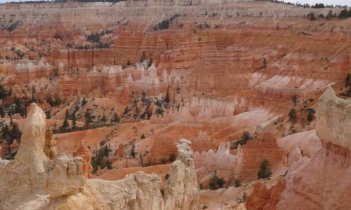 Zdjcie USA / Utah / Bryce NP / Kocham czerwone skay: BRYCE