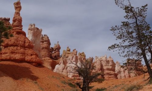 Zdjęcie USA / Utah / Canyon Bryce NP / Kocham czerwone skały: Widzowie