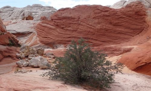 Zdjcie USA / Arizona / Arizona, Vermilion Cliffs / White Pocket 5