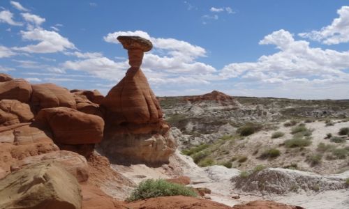 Zdjecie USA / Utah / Paria Rimrocks Toadstool Hoodoos / Grand Staircase Escalante