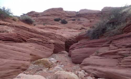 Zdjcie USA / UTAH / Vermilion Cliffs / Wire Pass - wejcie