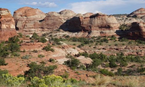 Zdjcie USA / Utah / Escalante / Grand Staircase Escalante