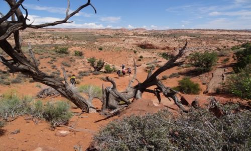 Zdjecie USA / UTAH / Escalante / Wdrwka przez Escalante