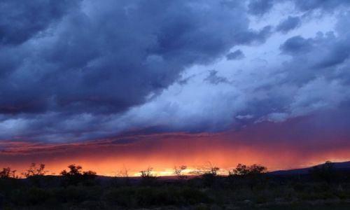 Zdjecie USA / Utah / Escalante / Escalante - po burzy