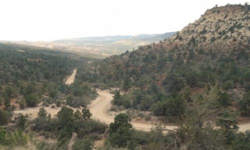 Zdjcie USA / Utah / Yant Flat Candy Cliffs / droga do Yant Flat
