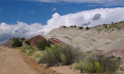 Zdjęcie USA / Utah / Capitol Reef / Botom - Bullfrog Road 2