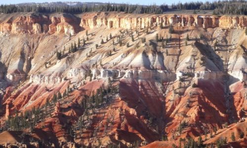 Zdjecie USA / UTAH / Cedar Breaks NP, 3000m .npm. / Kocham czerwone skay: CEDAR BREAKS 3