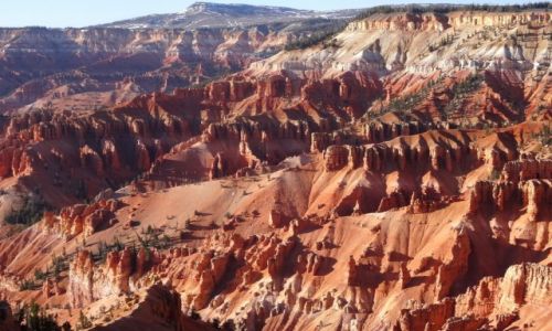 Zdjecie USA / UTAH / Cedar Breaks NP, 3000m .npm. / Kocham czerwone skay: CEDAR BREAKS 4