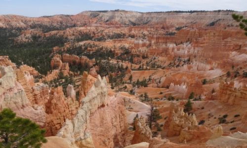 Zdjecie USA / Utah / Bryce NP / Kocham czerwone skay: Ten wspaniay BRYCE